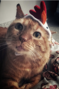 leonardo in a chicken hat