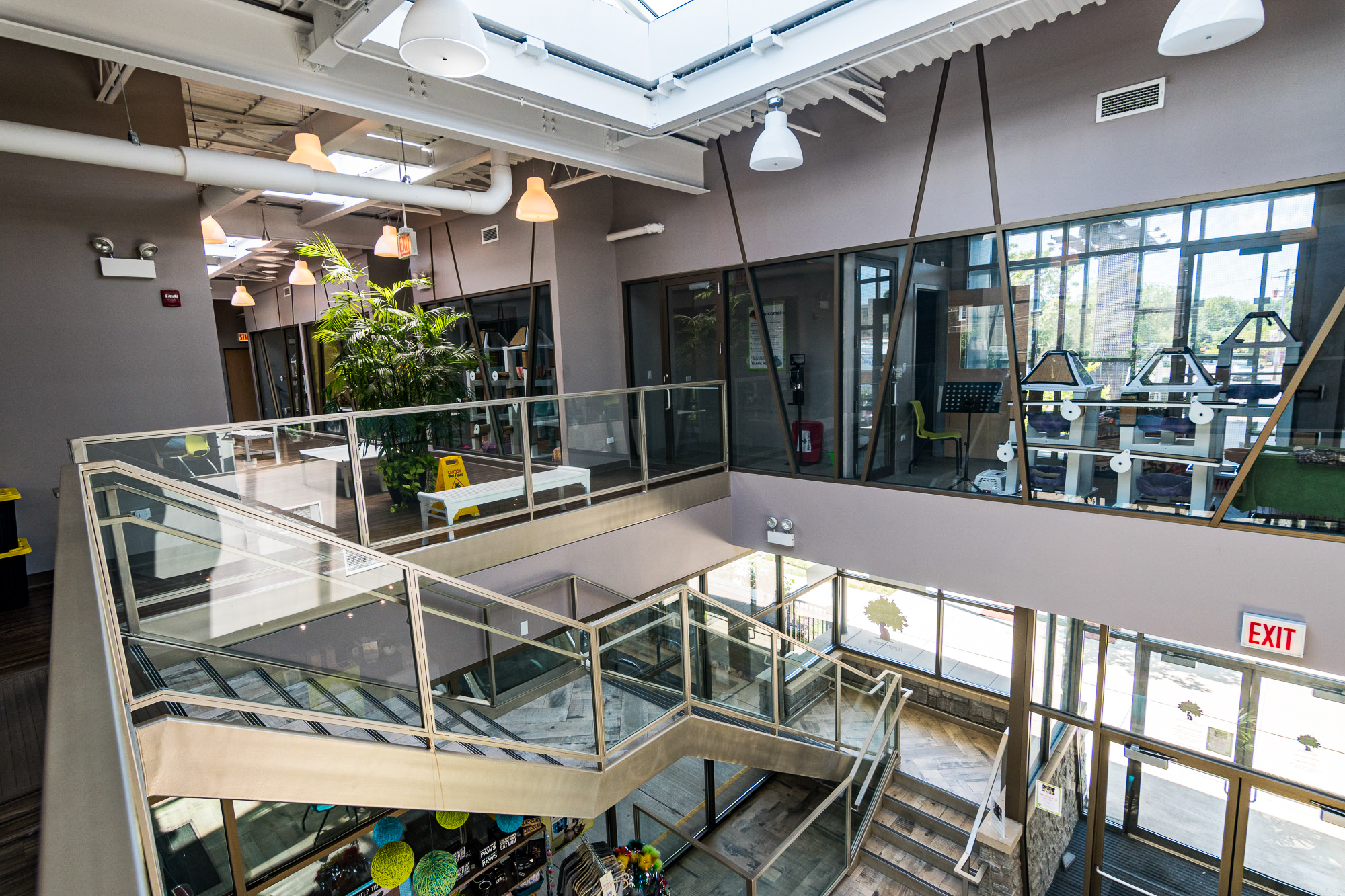 the baby elephant plush pillow