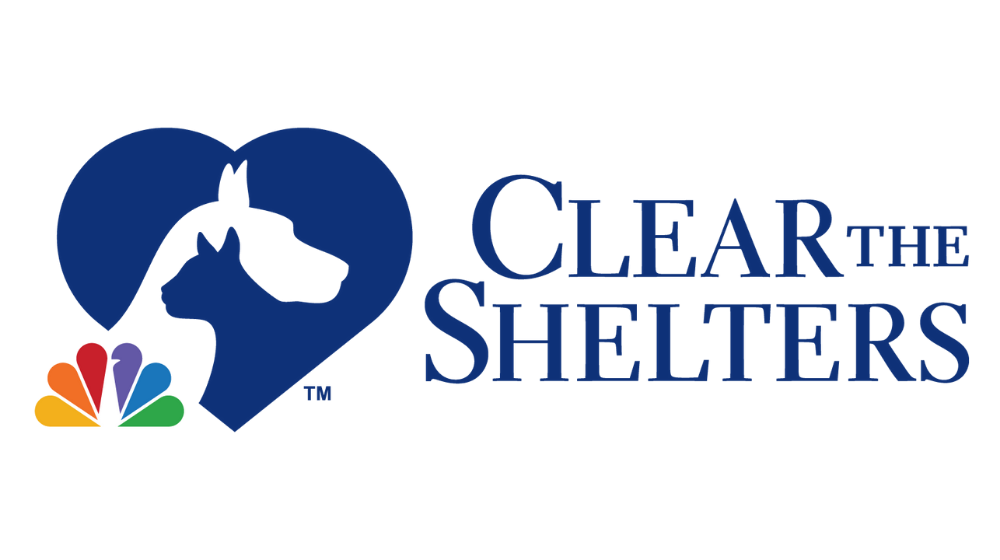 CLEAR THE SHELTERS 2020: FINDING FOREVER HOMES FOR OUR LONGEST TERM RESIDENTS