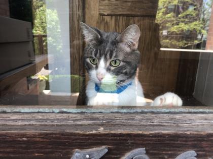 Resident Profile: Dillon
